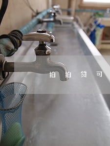 拍拍贷可以逾期10天 拍拍贷可以逾期10天