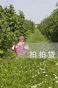拍拍贷可以逾期3天 拍拍贷可以逾期3天
