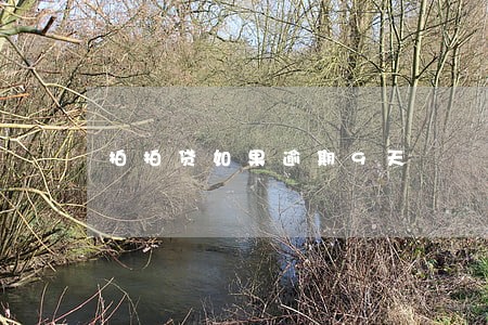 拍拍贷如果逾期9天