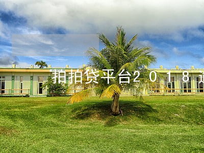 拍拍贷平台2018逾期用户数 拍拍贷平台2018逾期用户数
