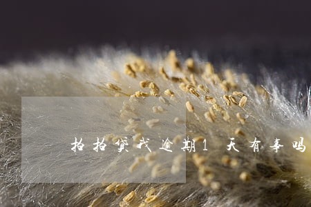 拍拍贷我逾期1天有事吗 拍拍贷我逾期1天有事吗