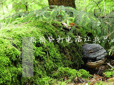 拍拍贷打电话让我只还本金可信吗 拍拍贷打电话让我只还本金可信吗