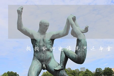 拍拍贷打电话说只还本金 拍拍贷打电话说只还本金