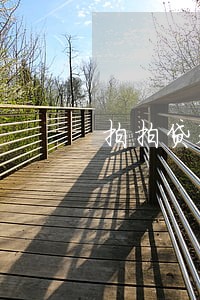 拍拍贷春节逾期4天 拍拍贷春节逾期4天