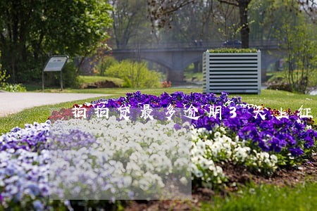 拍拍贷最多逾期3天上征信吗 拍拍贷最多逾期3天上征信吗