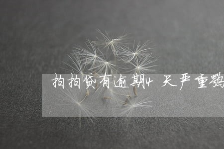 拍拍贷有逾期4天严重嘛 拍拍贷有逾期4天严重嘛