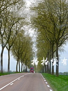 拍拍贷有逾期哪个网贷能下款 拍拍贷有逾期哪个网贷能下款