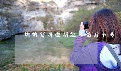拍拍贷有逾期能办信用卡吗