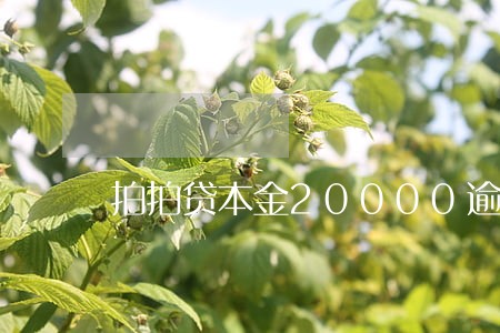 拍拍贷本金20000逾期一年半 拍拍贷本金20000逾期一年半