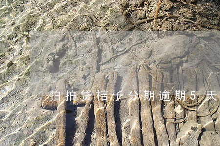 拍拍贷桔子分期逾期5天 拍拍贷桔子分期逾期5天
