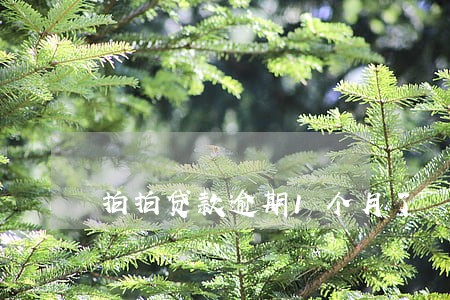 拍拍贷款逾期1个月了 拍拍贷款逾期1个月了
