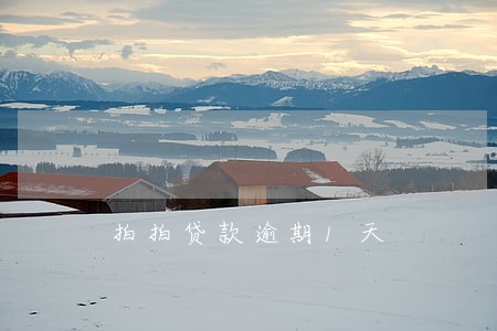 拍拍贷款逾期1天 拍拍贷款逾期1天