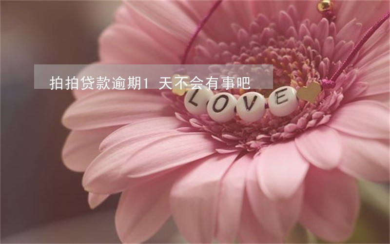 拍拍贷款逾期1天不会有事吧 拍拍贷款逾期1天不会有事吧