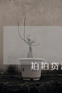 拍拍贷款逾期2天 拍拍贷款逾期2天