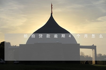 拍拍贷款逾期4个月怎么办 拍拍贷款逾期4个月怎么办