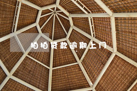 拍拍贷款逾期上门 拍拍贷款逾期上门