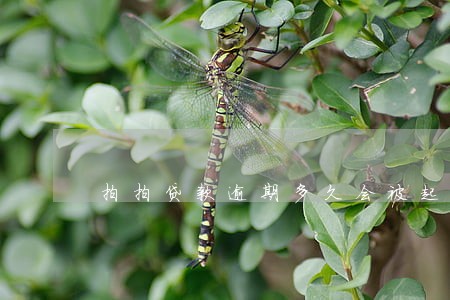 拍拍贷款逾期多久会被起诉 拍拍贷款逾期多久会被起诉