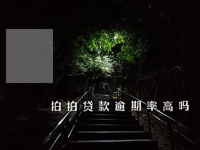 拍拍贷款逾期率高吗 拍拍贷款逾期率高吗