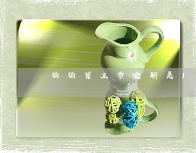 拍拍贷正常逾期是1天 拍拍贷正常逾期是1天