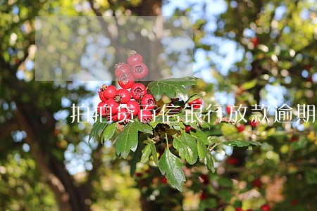 拍拍贷百信银行放款逾期 拍拍贷百信银行放款逾期