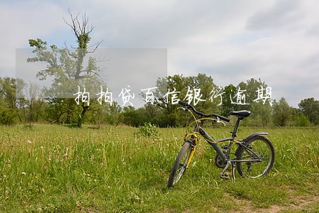 拍拍贷百信银行逾期 拍拍贷百信银行逾期