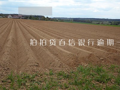 拍拍贷百信银行逾期一天