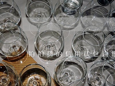 拍拍贷的信用钱包逾期一个月 拍拍贷的信用钱包逾期一个月