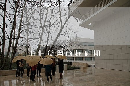 拍拍贷网商标逾期 拍拍贷网商标逾期