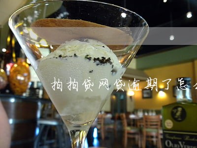 拍拍贷网贷逾期了怎么处理 拍拍贷网贷逾期了怎么处理