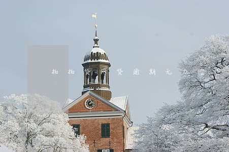 拍拍贷网贷逾期无力偿还 拍拍贷网贷逾期无力偿还