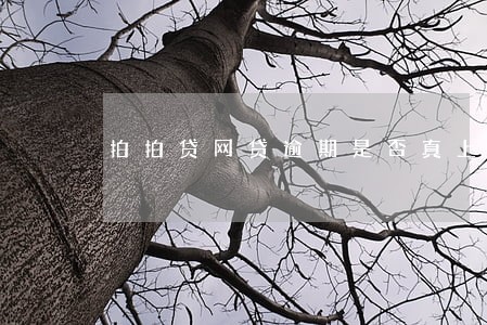 拍拍贷网贷逾期是否真上门 拍拍贷网贷逾期是否真上门