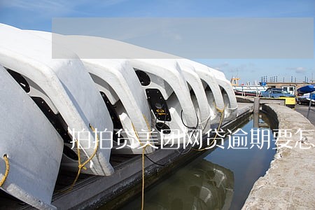 拍拍贷美团网贷逾期要怎么还 拍拍贷美团网贷逾期要怎么还