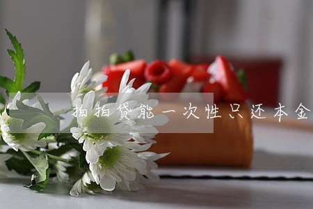 拍拍贷能一次性只还本金吗 拍拍贷能一次性只还本金吗
