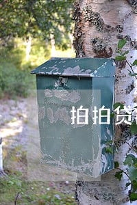 拍拍贷能不能逾期1年 拍拍贷能不能逾期1年