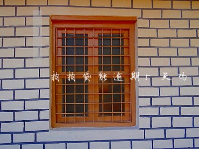 拍拍贷能逾期5天吗