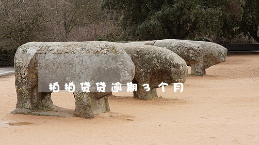 拍拍贷贷逾期3个月 拍拍贷贷逾期3个月