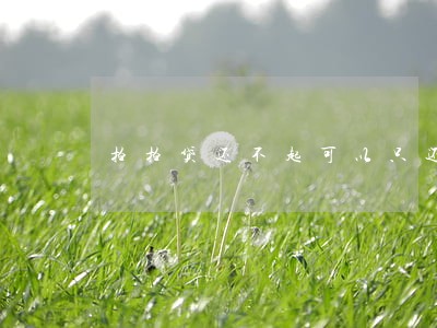 拍拍贷还不起可以只还本金吗 拍拍贷还不起可以只还本金吗