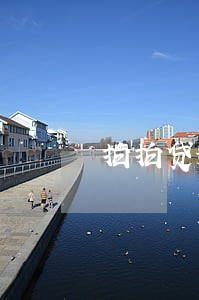 拍拍贷逾期100