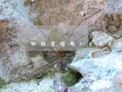 拍拍贷逾期10000多久会上门 拍拍贷逾期10000多久会上门