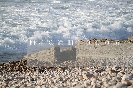 拍拍贷逾期1000元
