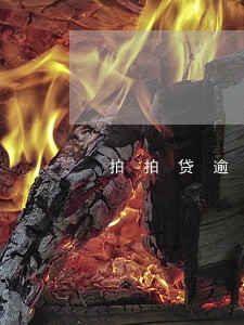 拍拍贷逾期100块 拍拍贷逾期100块