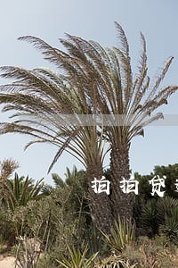 拍拍贷逾期100天 拍拍贷逾期100天