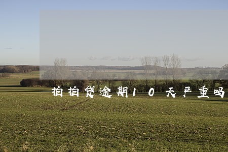 拍拍贷逾期10天严重吗 拍拍贷逾期10天严重吗