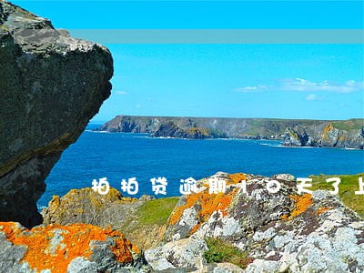 拍拍贷逾期10天了上征信吗 拍拍贷逾期10天了上征信吗