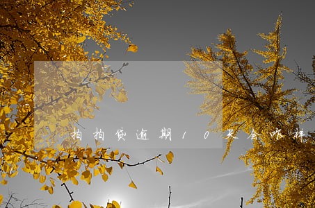 拍拍贷逾期10天会咋样 拍拍贷逾期10天会咋样