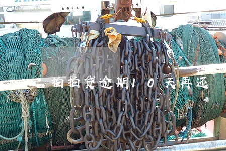 拍拍贷逾期10天再还