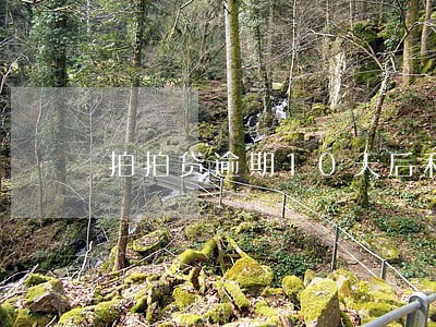 拍拍贷逾期10天后利息怎么算 拍拍贷逾期10天后利息怎么算