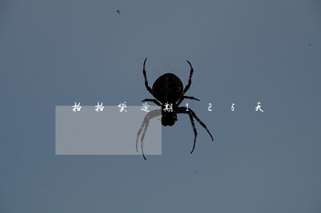 拍拍贷逾期125天 拍拍贷逾期125天
