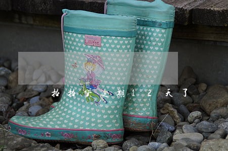 拍拍贷逾期12天了 拍拍贷逾期12天了