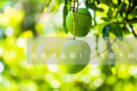 拍拍贷逾期13天会怎样 拍拍贷逾期13天会怎样